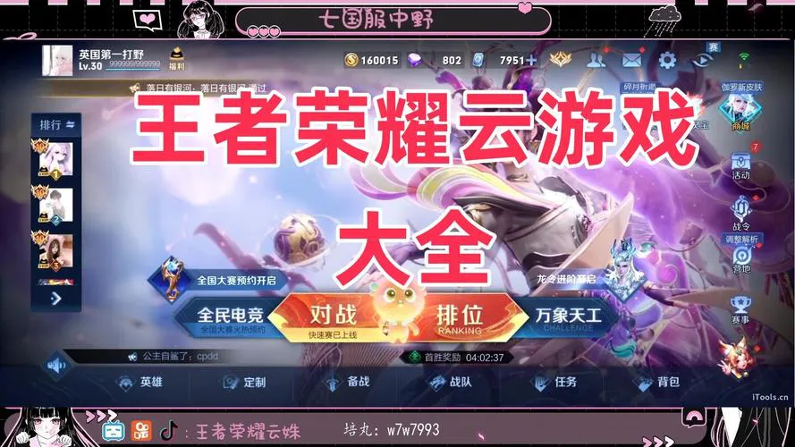 王者荣耀单机游戏下载最新版，体验无网络畅快对战！