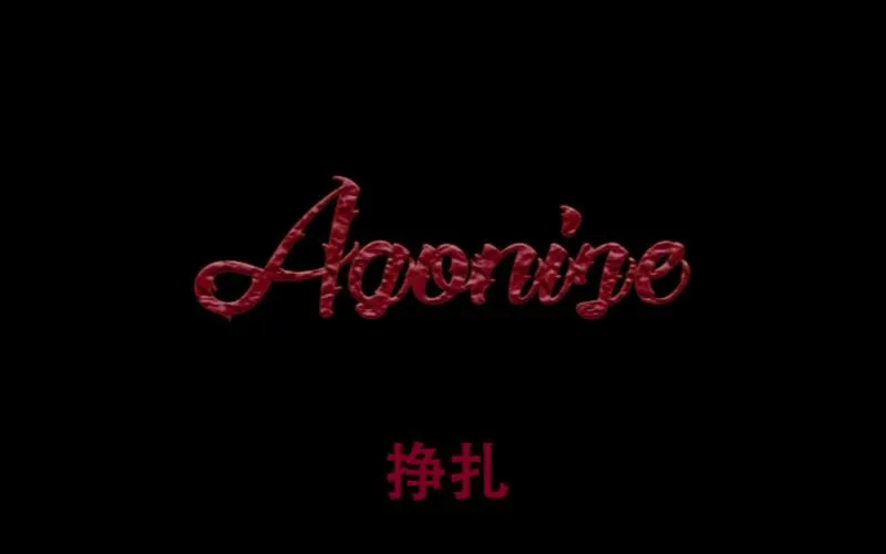 《Agonize》v1.11 官方简体中文版