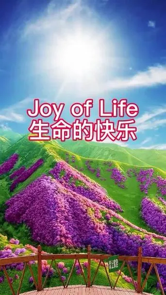 《Joy Life 4》官方中文步兵版