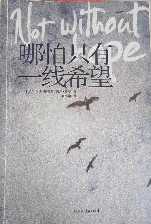 《一线希望(The Silver Lining)》v0.8 汉化中文版