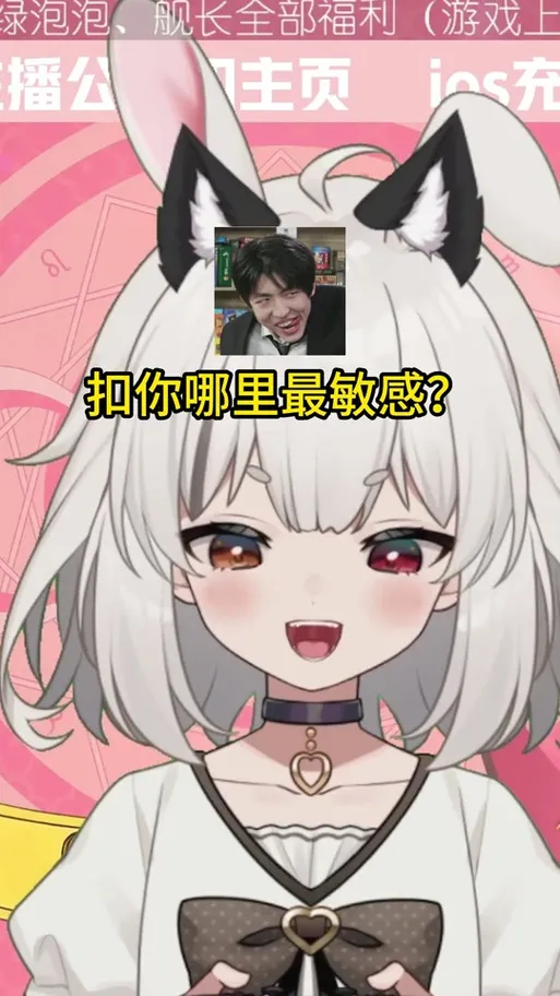 《不可思议的雌小鬼电车决斗》汉化中文版