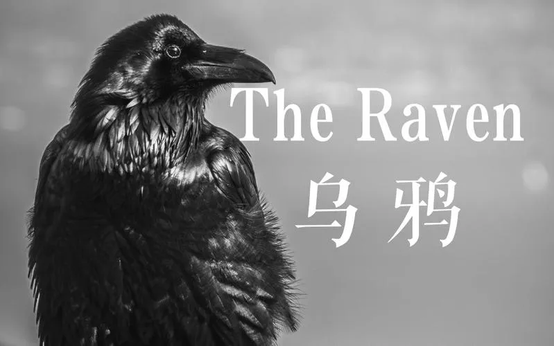 《乌鸦(Raven)》Segment 04 汉化中文版