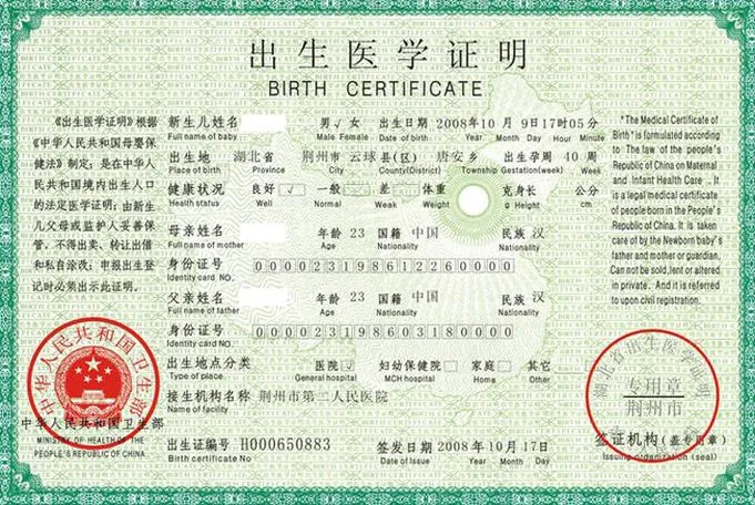 《出生证明(Lost at Birth)》ver0.9 汉化中文版