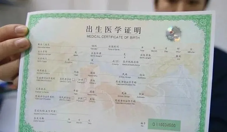 《出生证明(Lost at Birth)》ver0.9 汉化中文版
