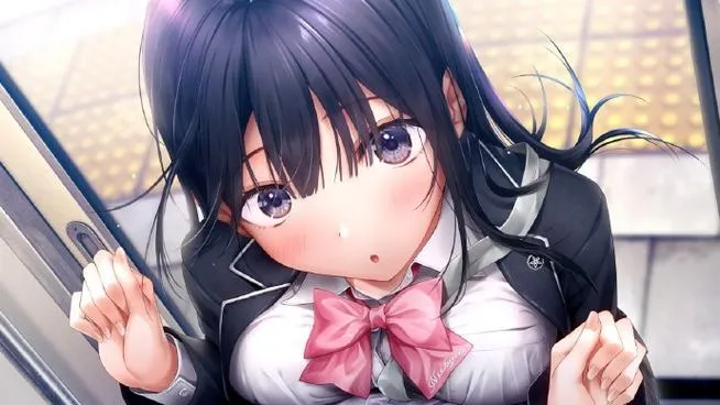 《制服女友(Seikano)》官方中文版