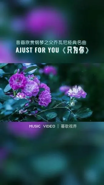 《只为你(Just for You)》ver9.0 汉化中文版