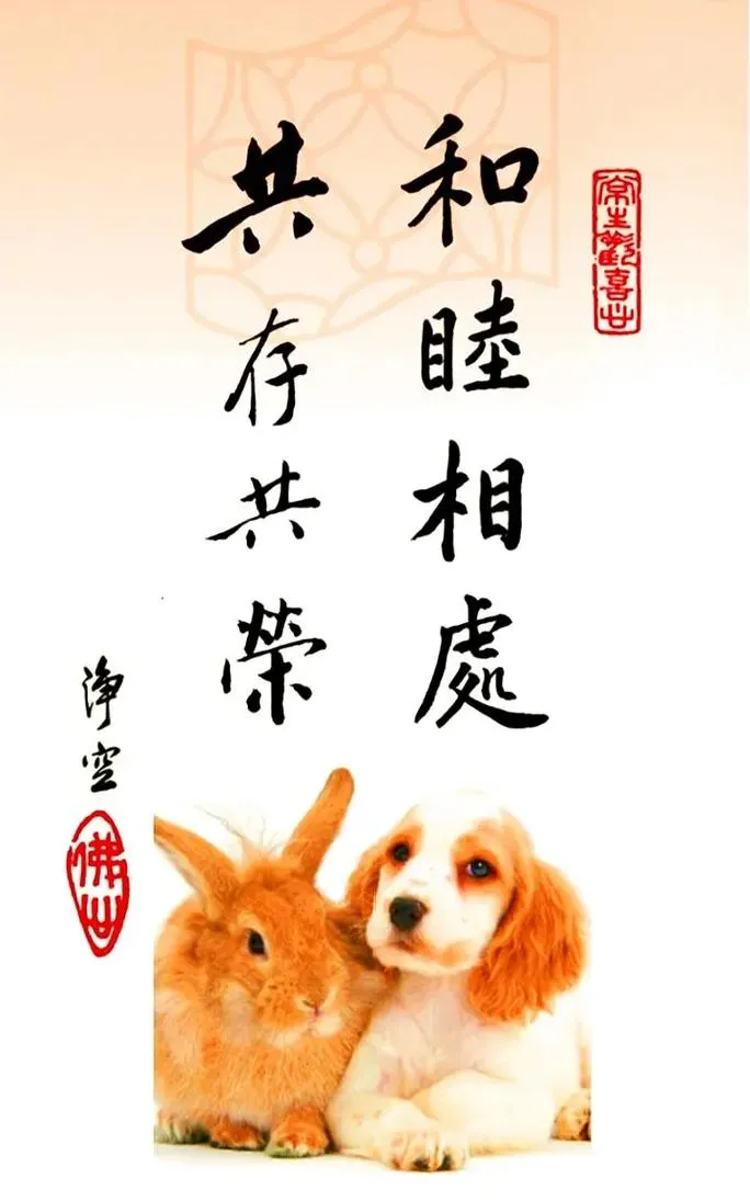 《和睦（HarmonEy）》汉化中文版