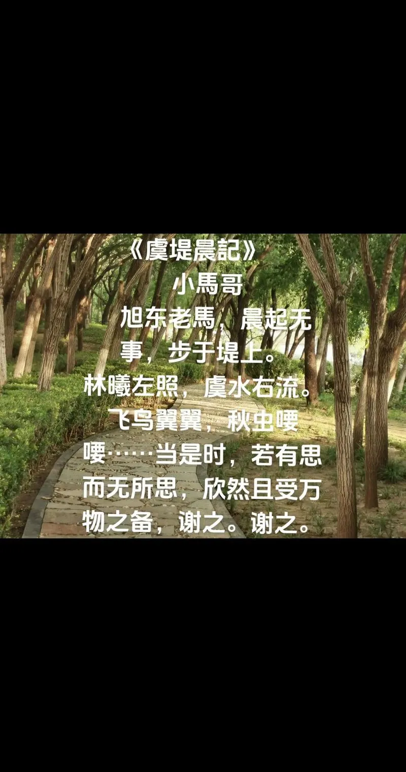 《嘿哟走你！》Build.5468403 官方简体中文版