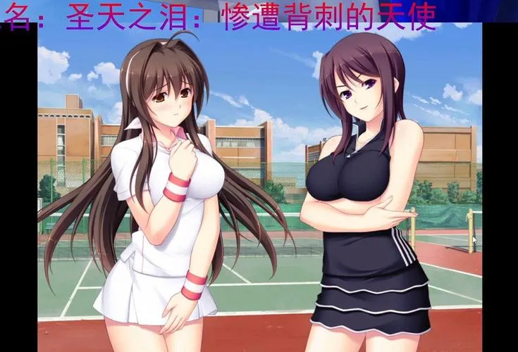 《圣天之泪：惨遭背刺的天使》官方中文版