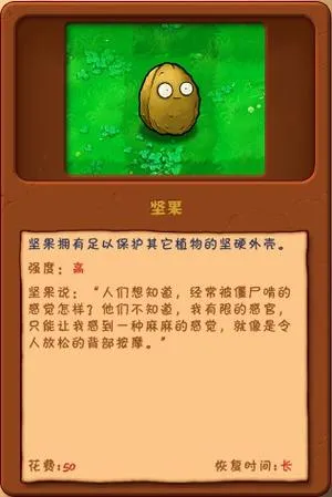 《坚果》v6230374 官方简体中文版