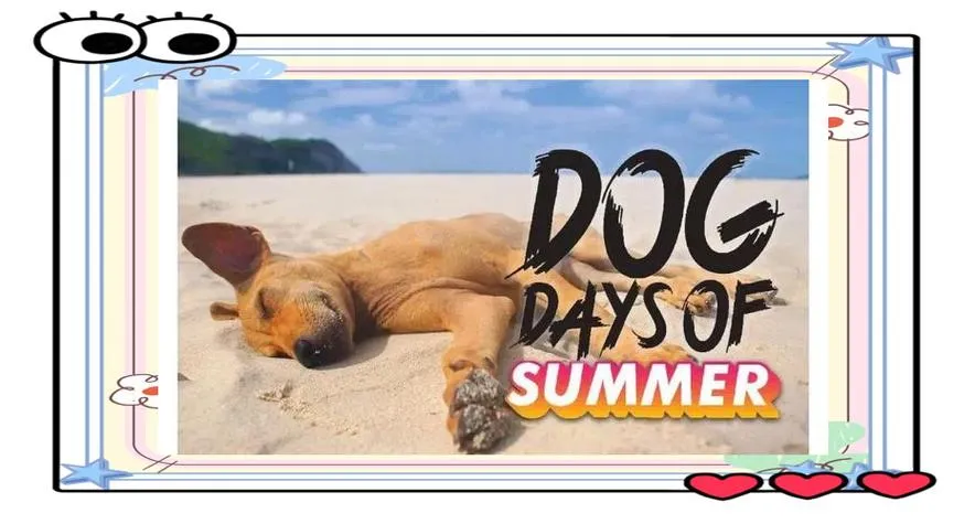 《夏日炎炎(Dog Days of Summer)》v0.3.1b 汉化中文版