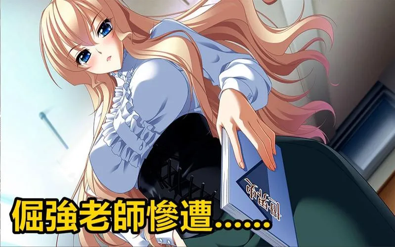 《大欧派奴隶的教育计划》MTool汉化版