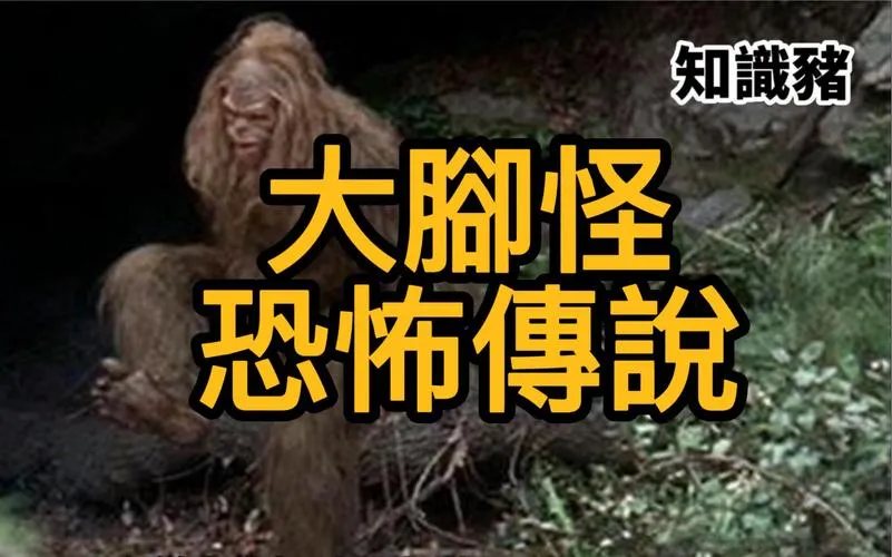 《大脚怪》v5.1.1.1 官方简体中文版