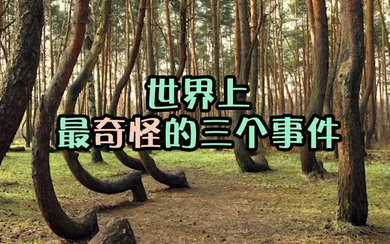 《奇怪的事情即将发生》ver0.6 汉化中文版