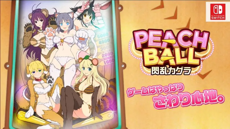 《女忍反射：闪乱神乐》完整版 官方简体中文版
