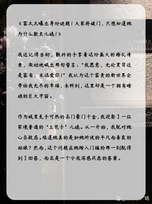 《家庭谜题：她为何如此》V0.5.0中文版 全动态双端实测报告