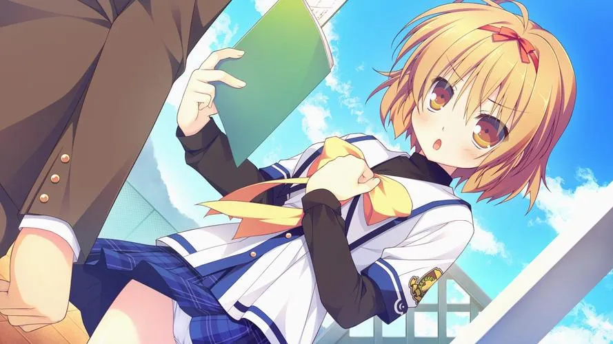 《幸运草的约定》v1.01 官方简体中文版
