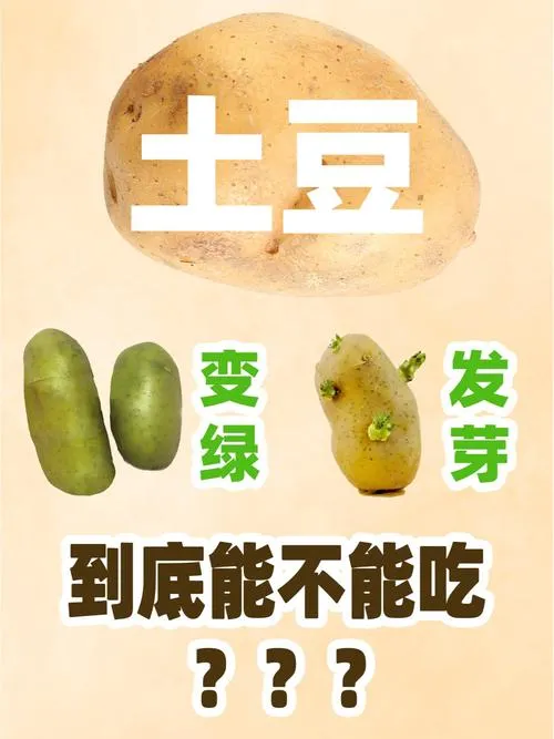 《我了个土豆！我们在太空？！》v1.1.4.2 官方简体中文版