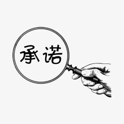《我们所做的承诺(The Promise We Made)》v0.3 汉化中文版