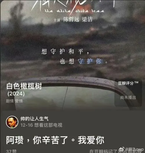《我发自内心地爱着你 ~直到最后都未曾察觉的妻子的痛苦~》汉化中文版