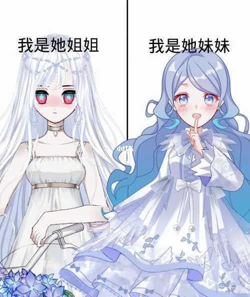 《我心爱的妹妹被抢走的原因》汉化中文版