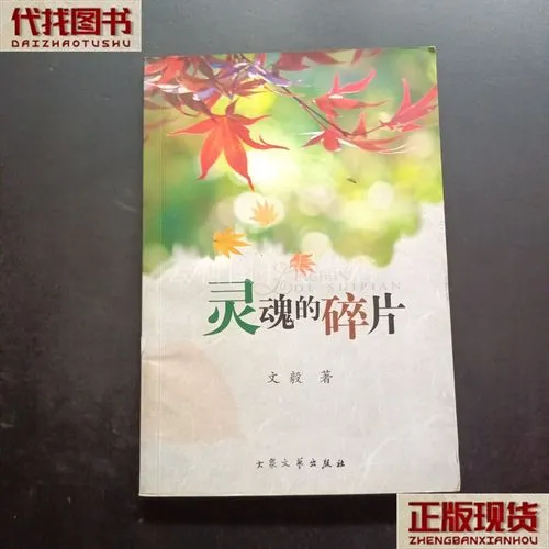 《我灵魂的碎片(Shard of My Soul)》v1.8 汉化中文版