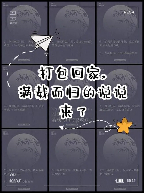 《打包：满载而归》v1.5.6 官方简体中文版