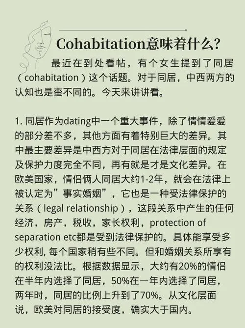 《文化冲击(困惑)》ver0.35 汉化中文版