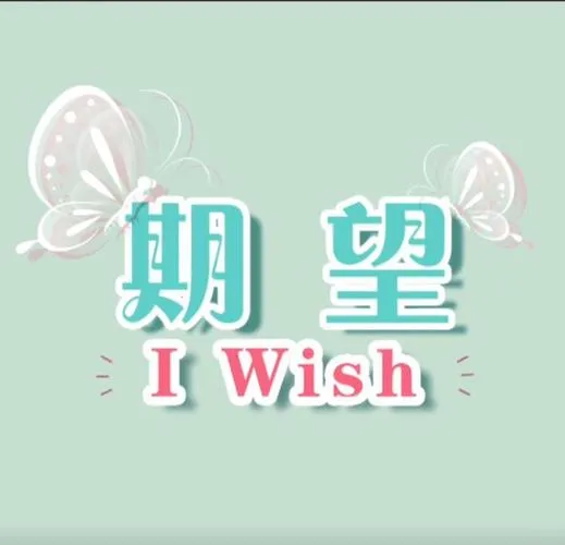 《期望(Expectations)》ver0.25 汉化中文版