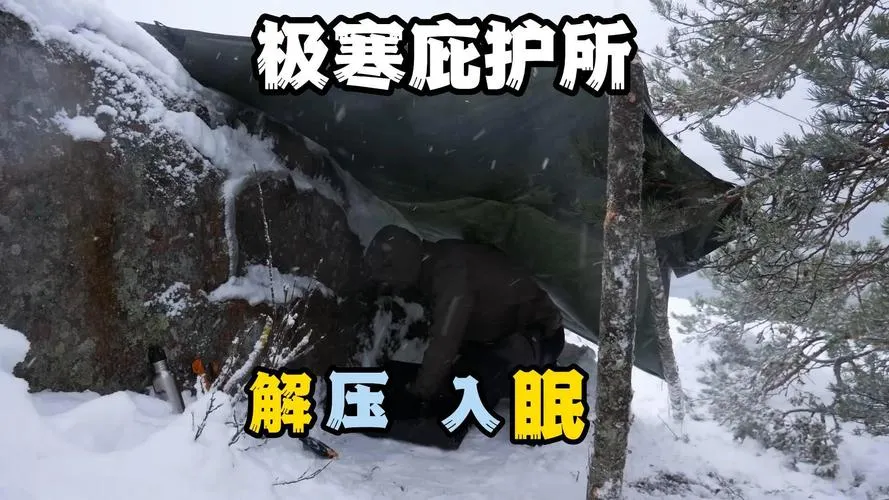 《极寒庇护所》Build.11153647 官方简体中文版
