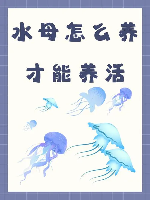 《水母生活》v1.3 汉化中文版 XY版