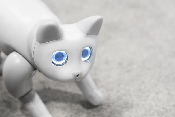 《猫咪机器人》v4120259 官方简体中文版