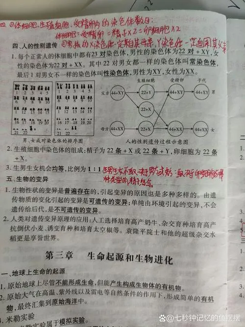 《生物相》v1.0.37 官方简体中文版