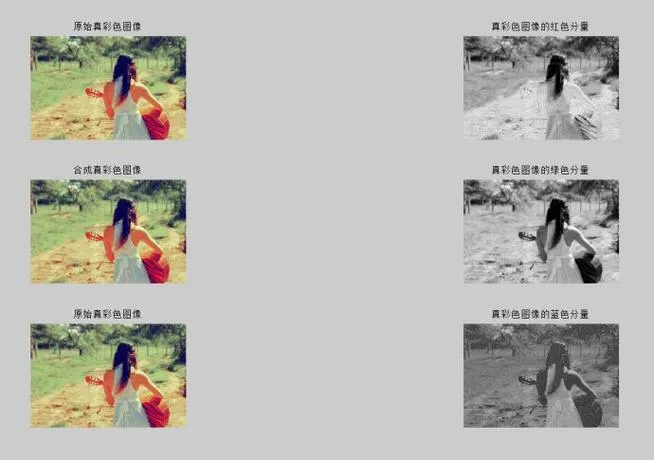 《画面中出现的推荐Vtuber和h的同居生活1 ~凯凯耳游戏发布者是唐娜系》汉化中文版