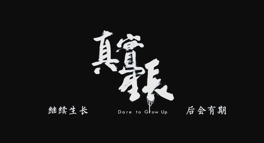 《真实人生》官方原版