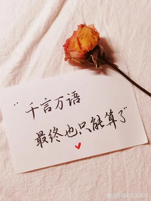 《真的，别再这样了！在家暴中刻印于褐色肌肤的疯狂印记》汉化中文版