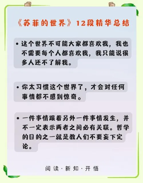 《苏菲》v1.0 汉化中文版