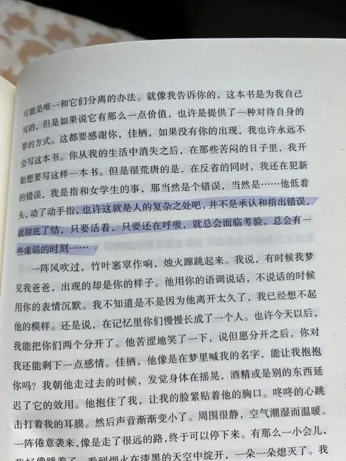《茧》v20231025 官方简体中文版
