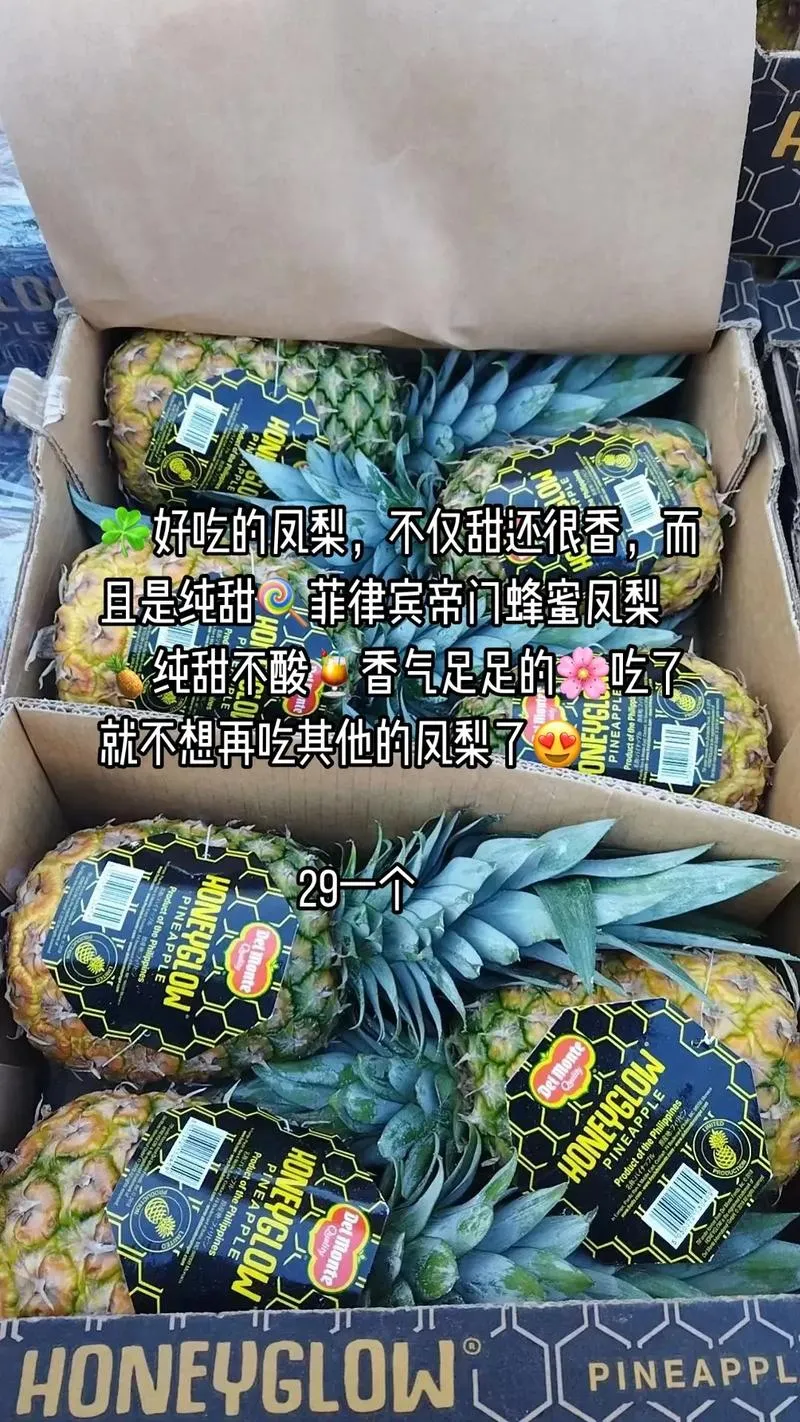 《菠萝速递(Pineapple Express)》v0.99 汉化中文版