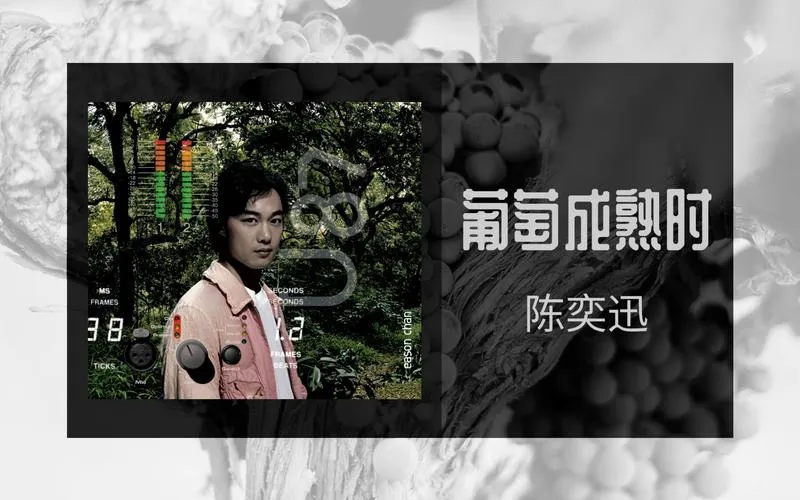 《葡萄成熟时》官方中文步兵版