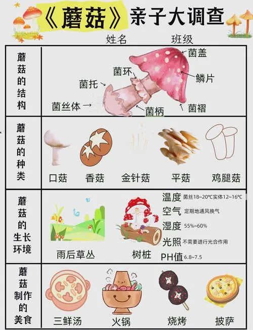 《蘑菇探索》v20191128 官方简体中文版