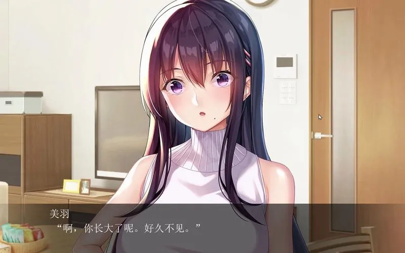 《请停手吧姐姐大人！要断了！》汉化中文版