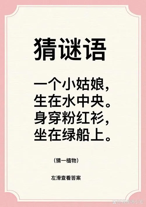 《谜语女孩》官方中文版