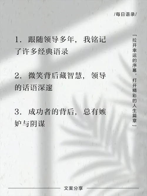 《跟随领导者(Follow the Leader)》v1.0 汉化中文版