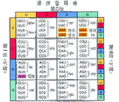 《遗传密码(The Genetic Code)》v0.3.1 汉化中文版