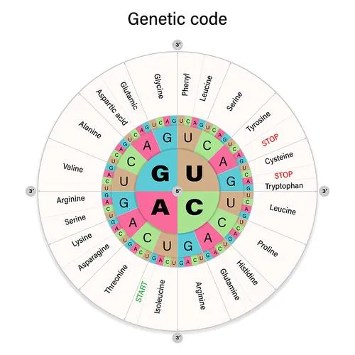 《遗传密码(The Genetic Code)》v0.3.1 汉化中文版