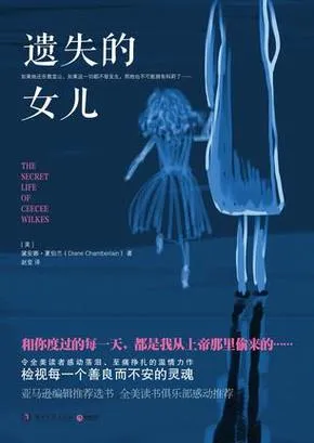 《遗失的女儿(Reclaiming the Lost)》ver0.8 汉化中文版