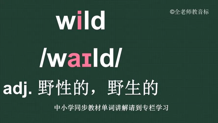 《野生(Wild LifeBuild)》Ver2019.12.05 P25 官方原版