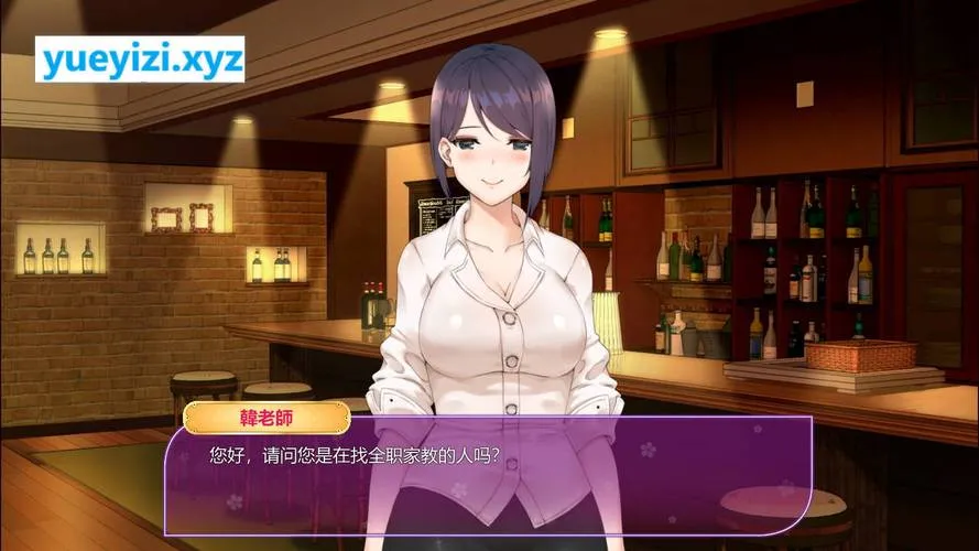 《韩老师的课后辅导》全DLC深度体验：互动教学与沉浸式叙事的完美结合