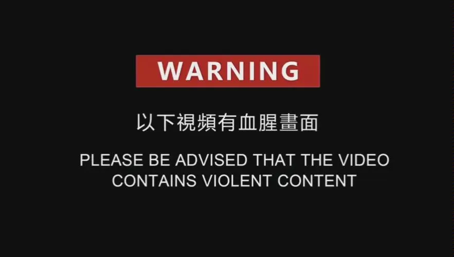 《预先警告》v75.6 官方简体中文版
